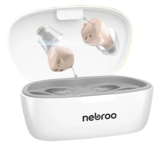 Lumiere Silk Pillow Case